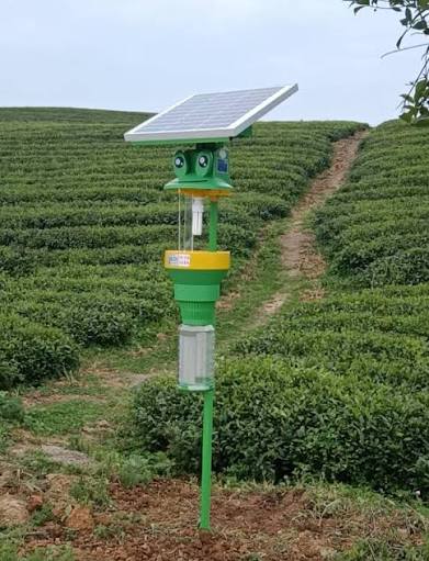 智能景观太阳能杀虫灯 图 2